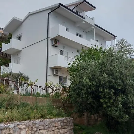 Ante Celina